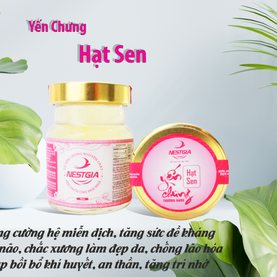 Yến Chưng Hạt Sen Thượng Hạng NestGia